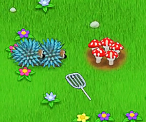 Žaisti Mushroom Madness  Online Nemokamai