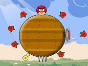 Žaisti Rolling Angry Birds Online Nemokamai