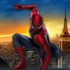 Žaisti Spider-man 3 photo hunt Online Nemokamai