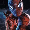 Žaisti Spiderman 3 memory match Online Nemokamai