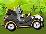 Žaisti Tom And Jerry Green Valley Online Nemokamai